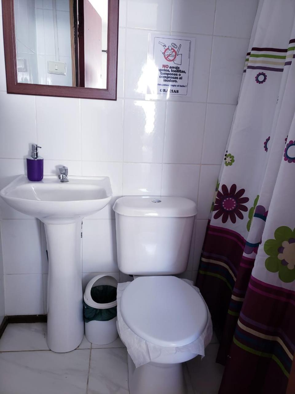 Hostal Arrayan Вальдівія Екстер'єр фото