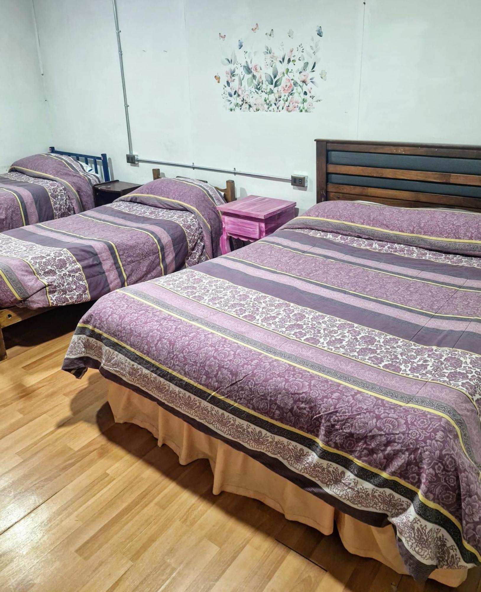 Hostal Arrayan Вальдівія Екстер'єр фото